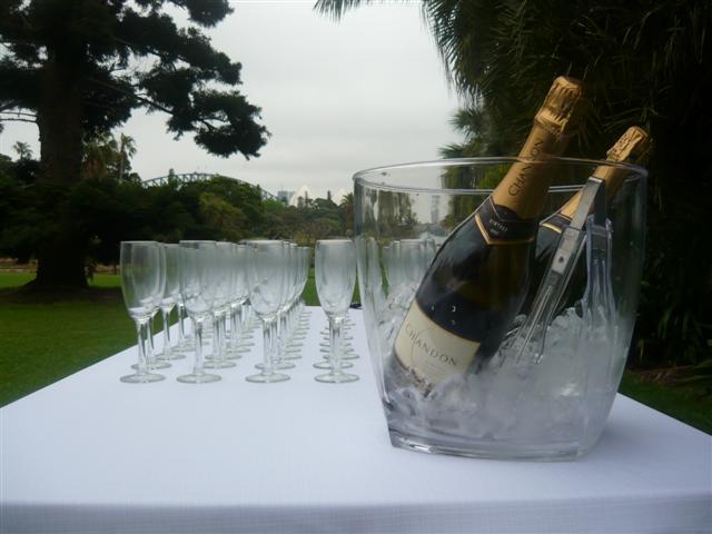 champagne service botanic gardens