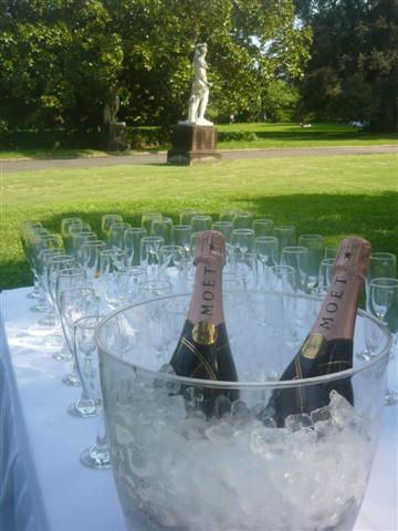 champagne service rose garden botanic gardens