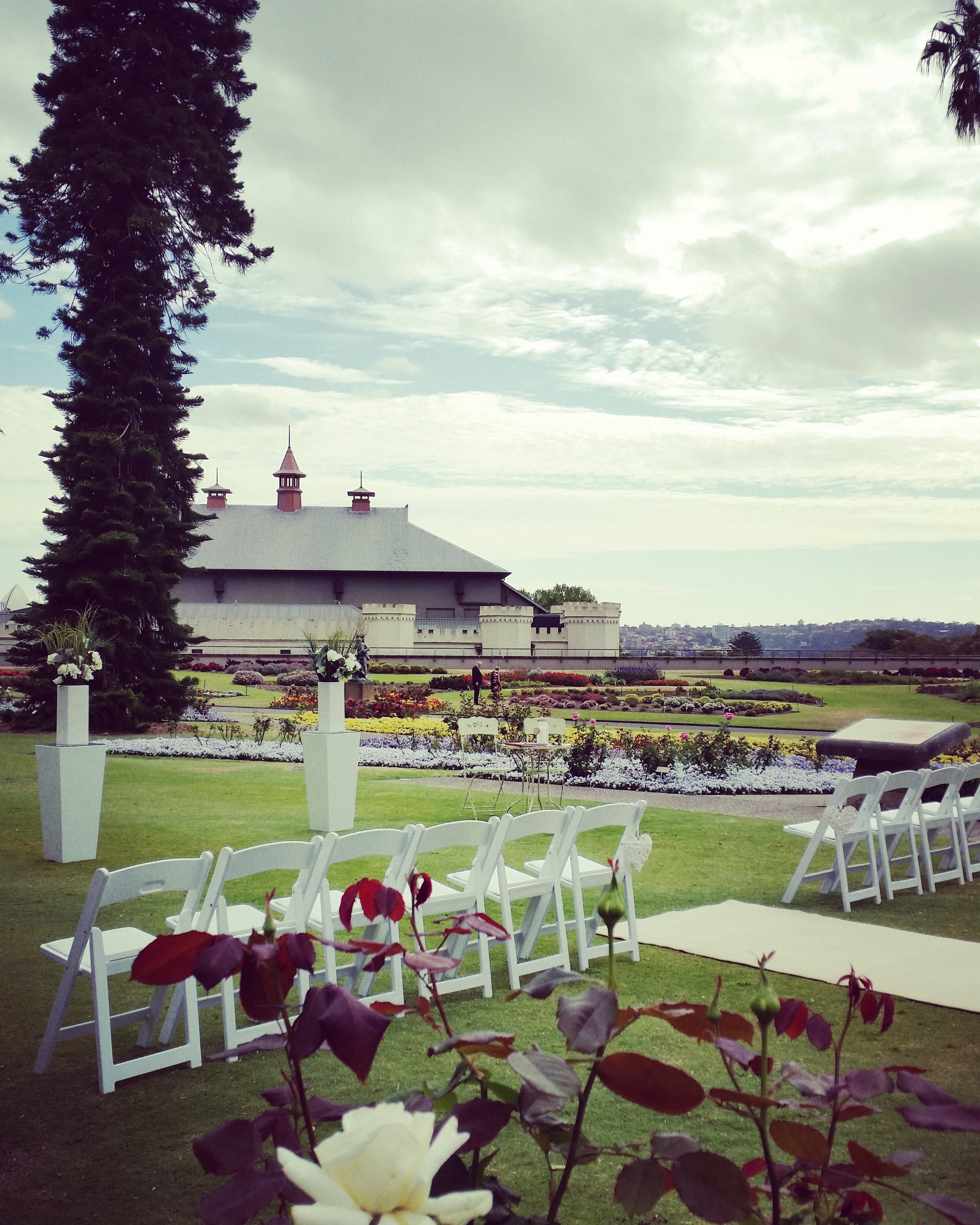 rose garden royal botanic gardens sydney wedding